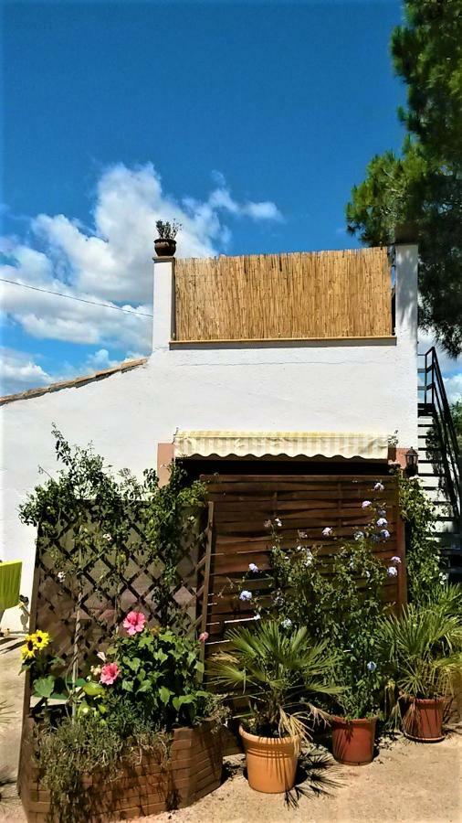 Villa La Casita Manacor  Esterno foto